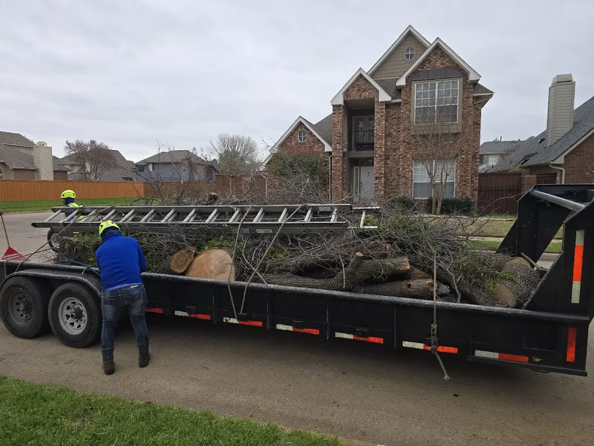 Expert Lot Clearing with proper safety equipment in Mapleton Depot